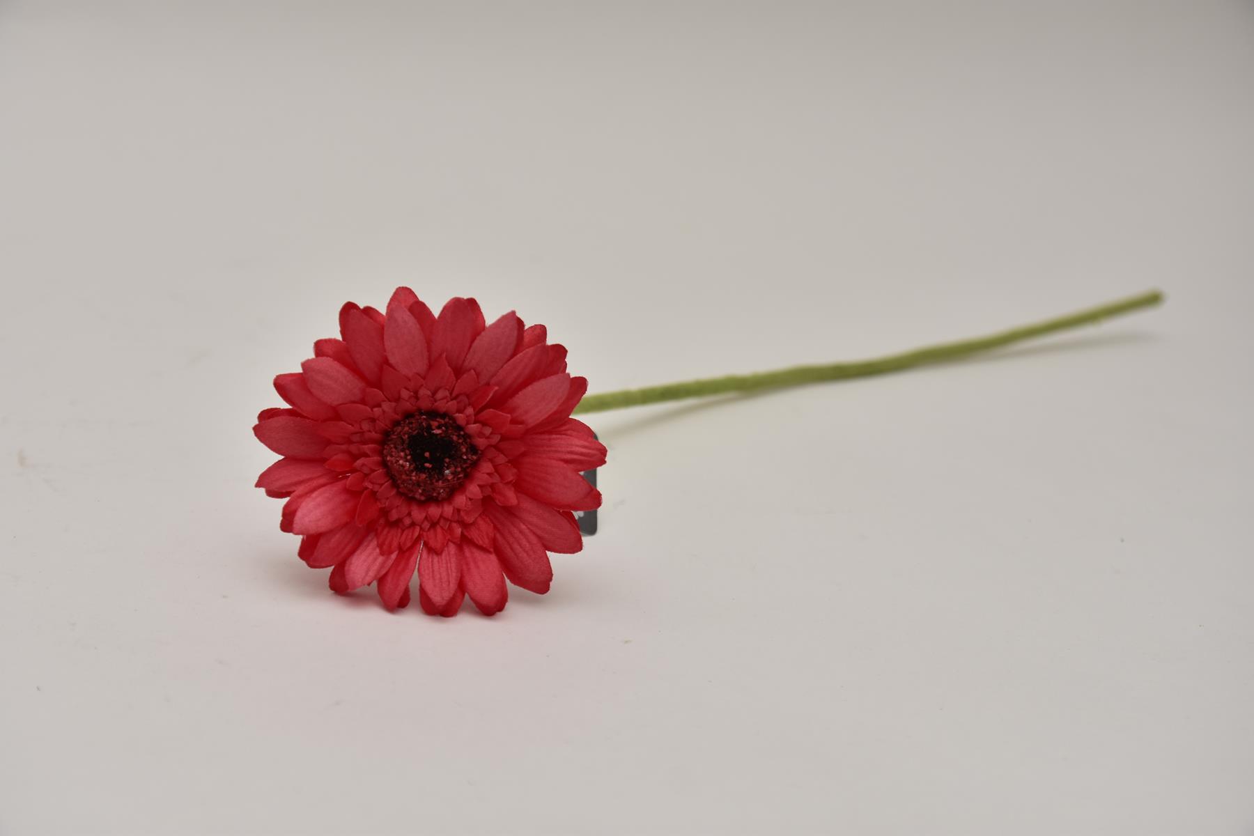 12038-3.jpg