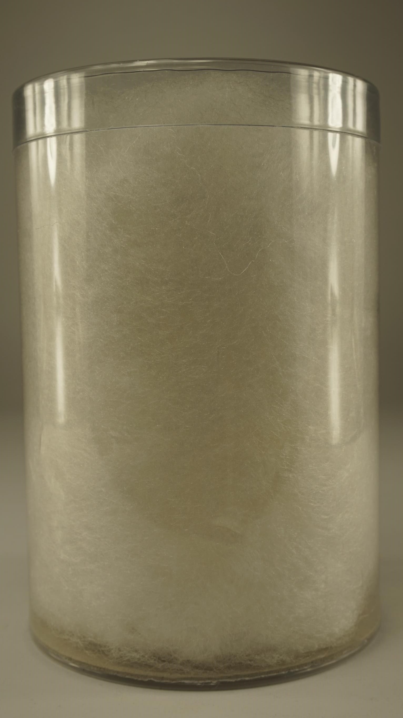 7015500.jpg