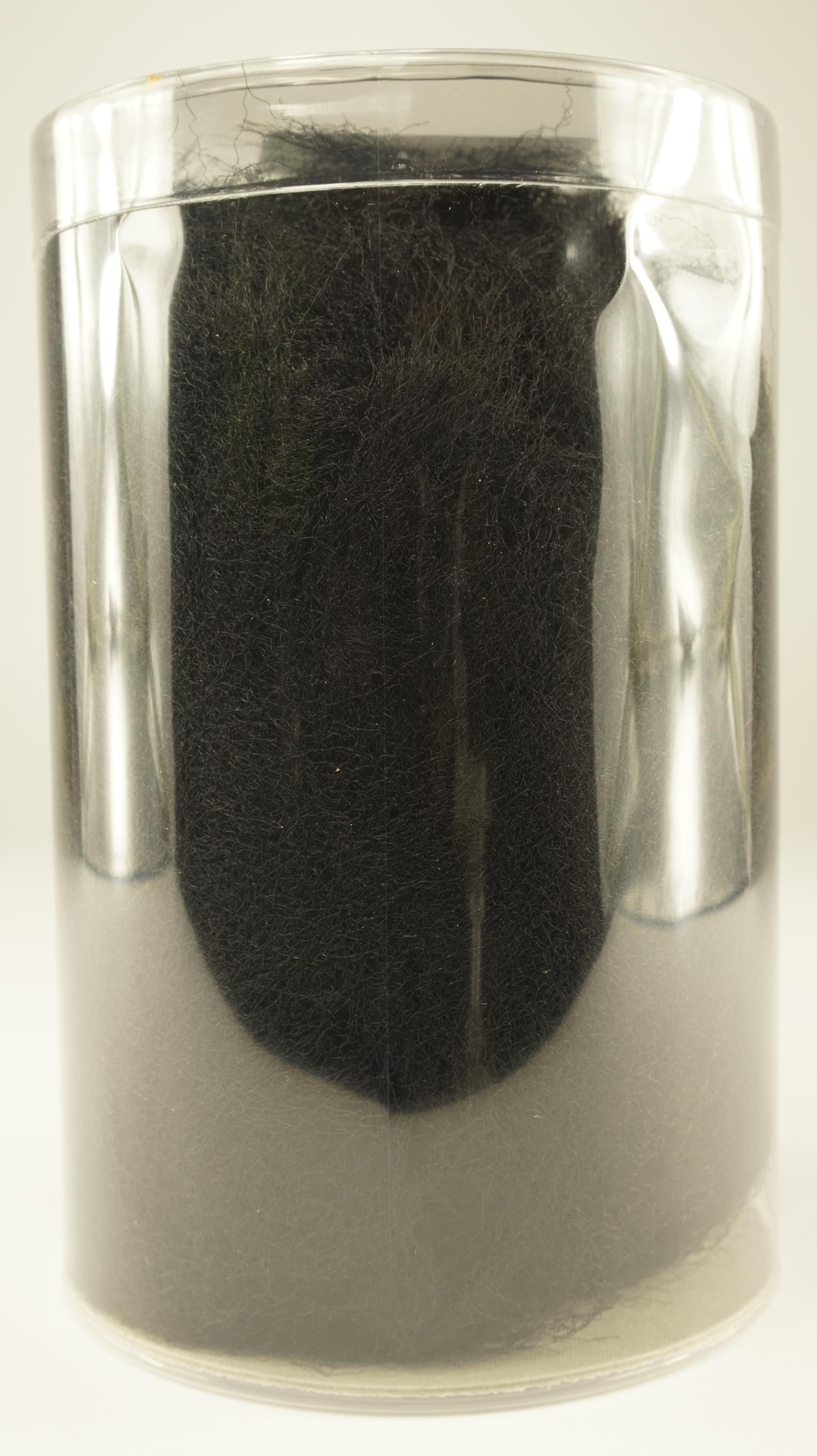 7015511.jpg