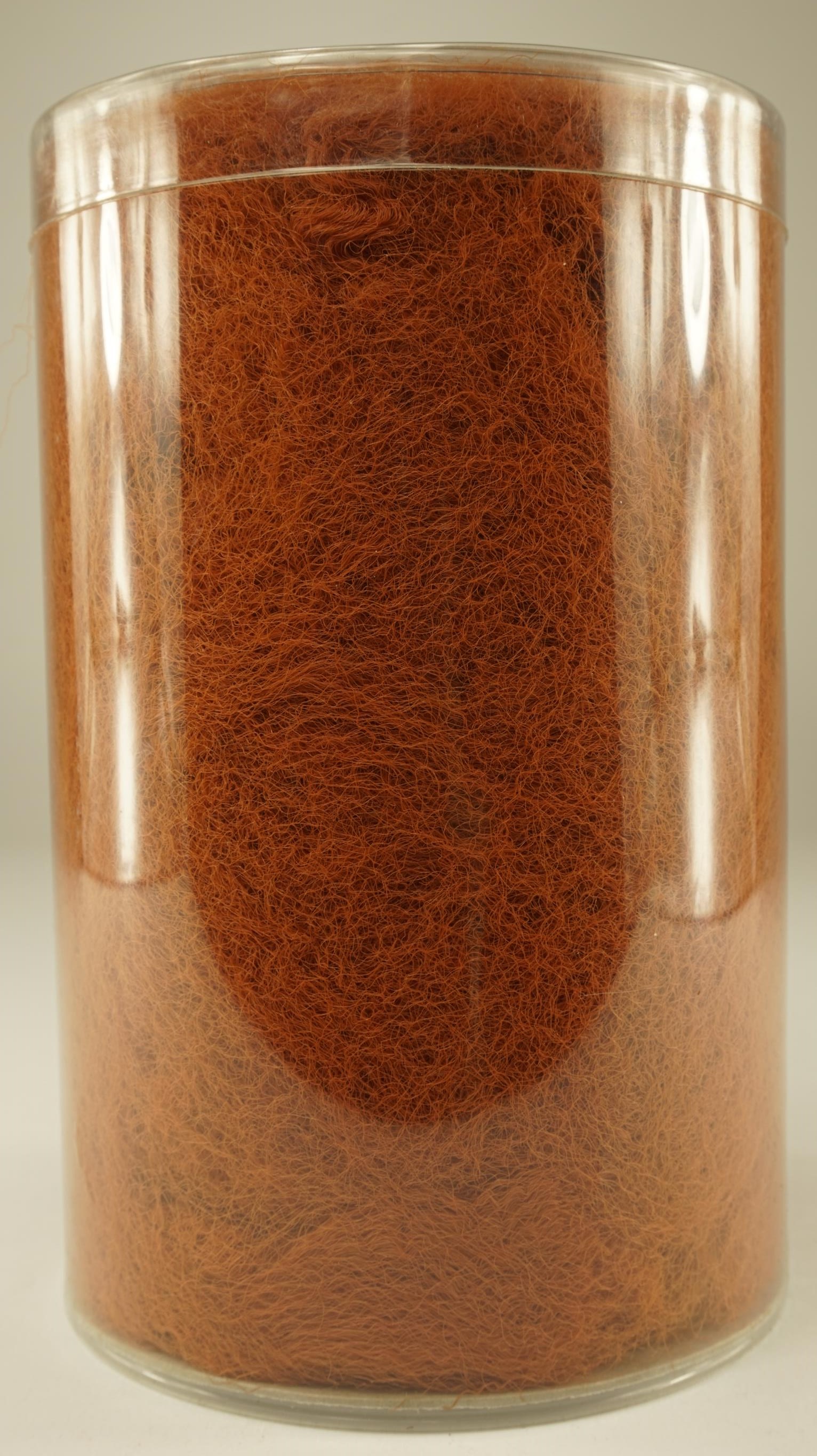 7015525.jpg