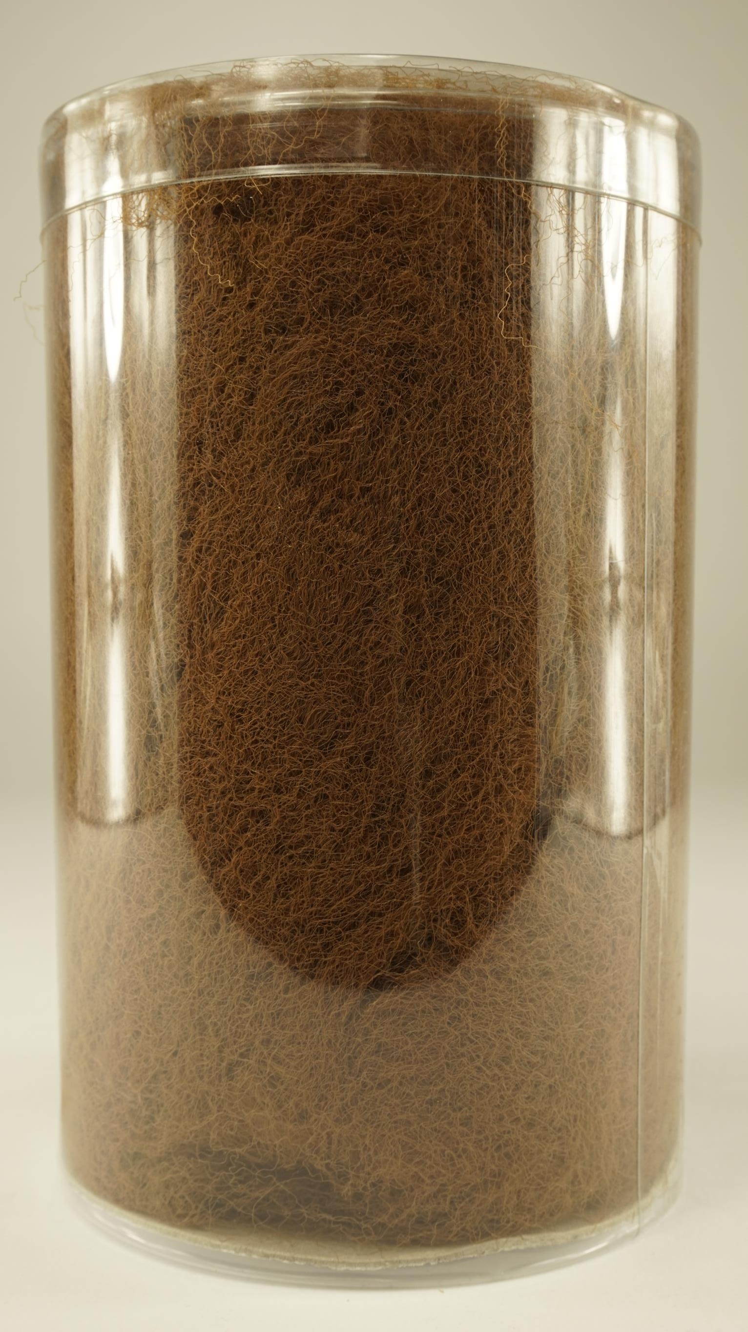 7015526.jpg