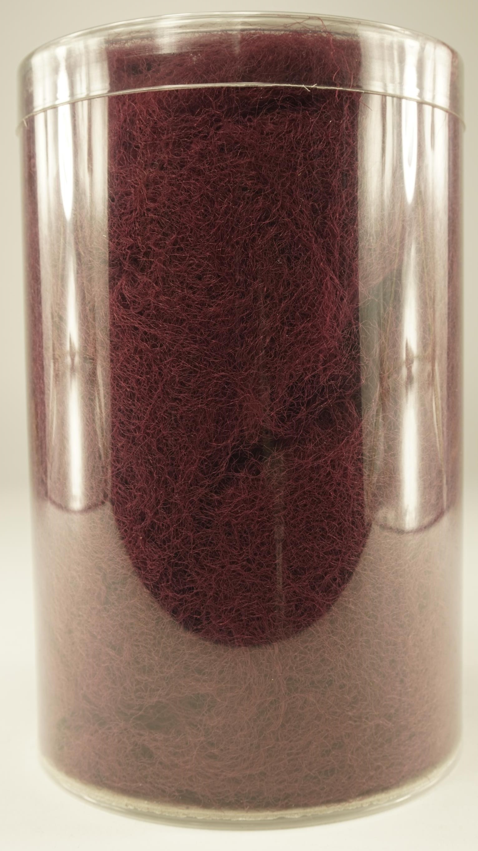 7015740.jpg