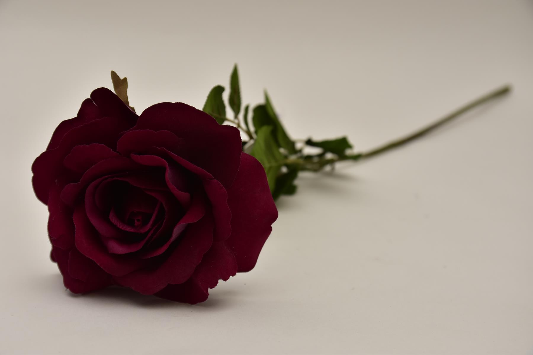 82920-6.jpg