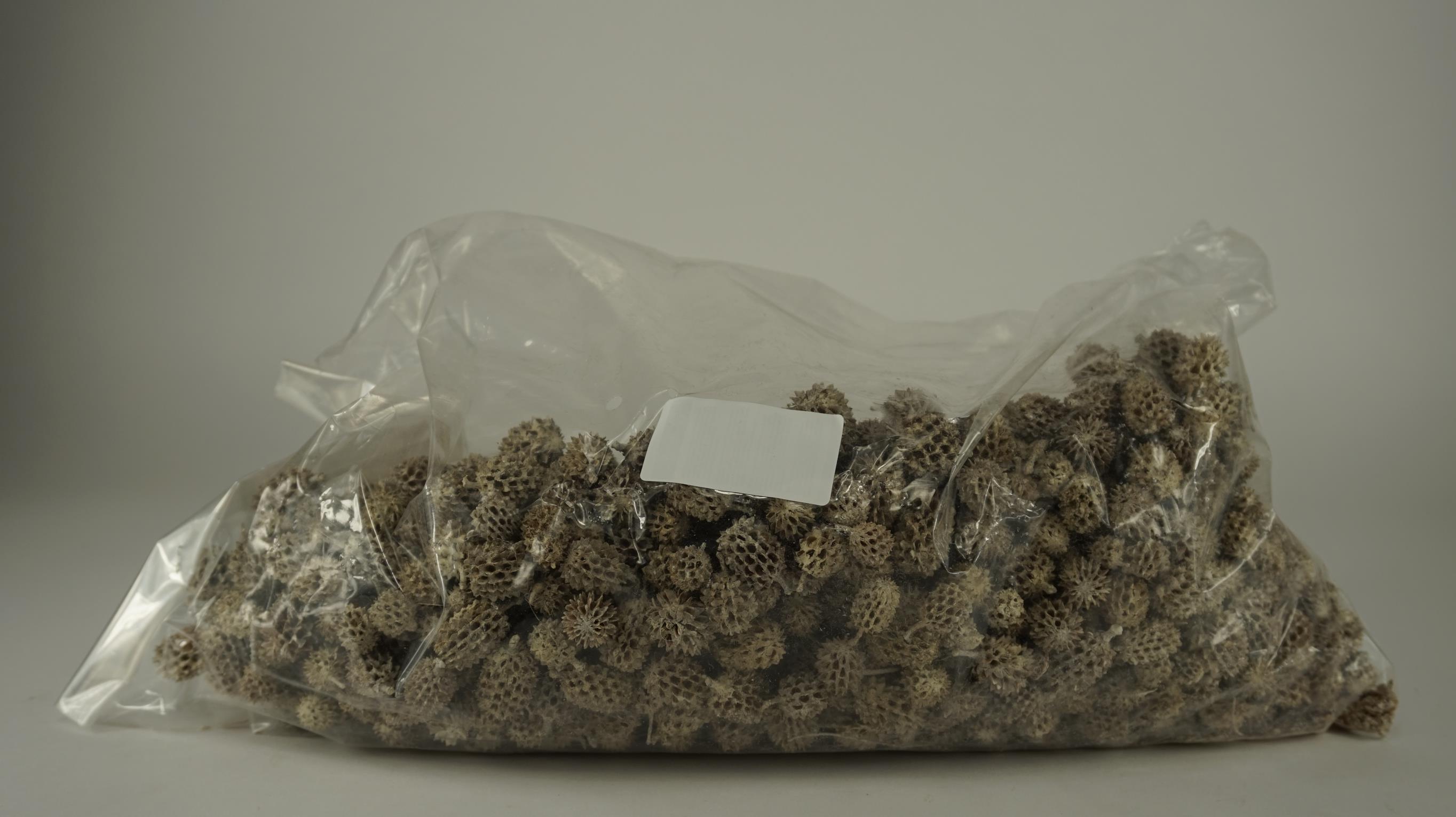87901.jpg
