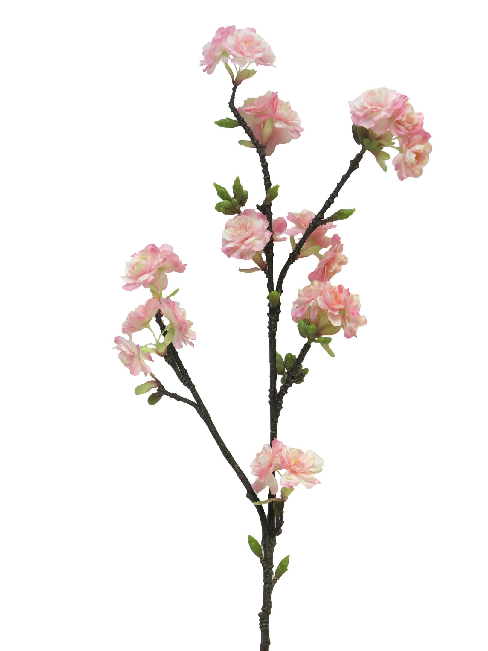 88166-7.jpg